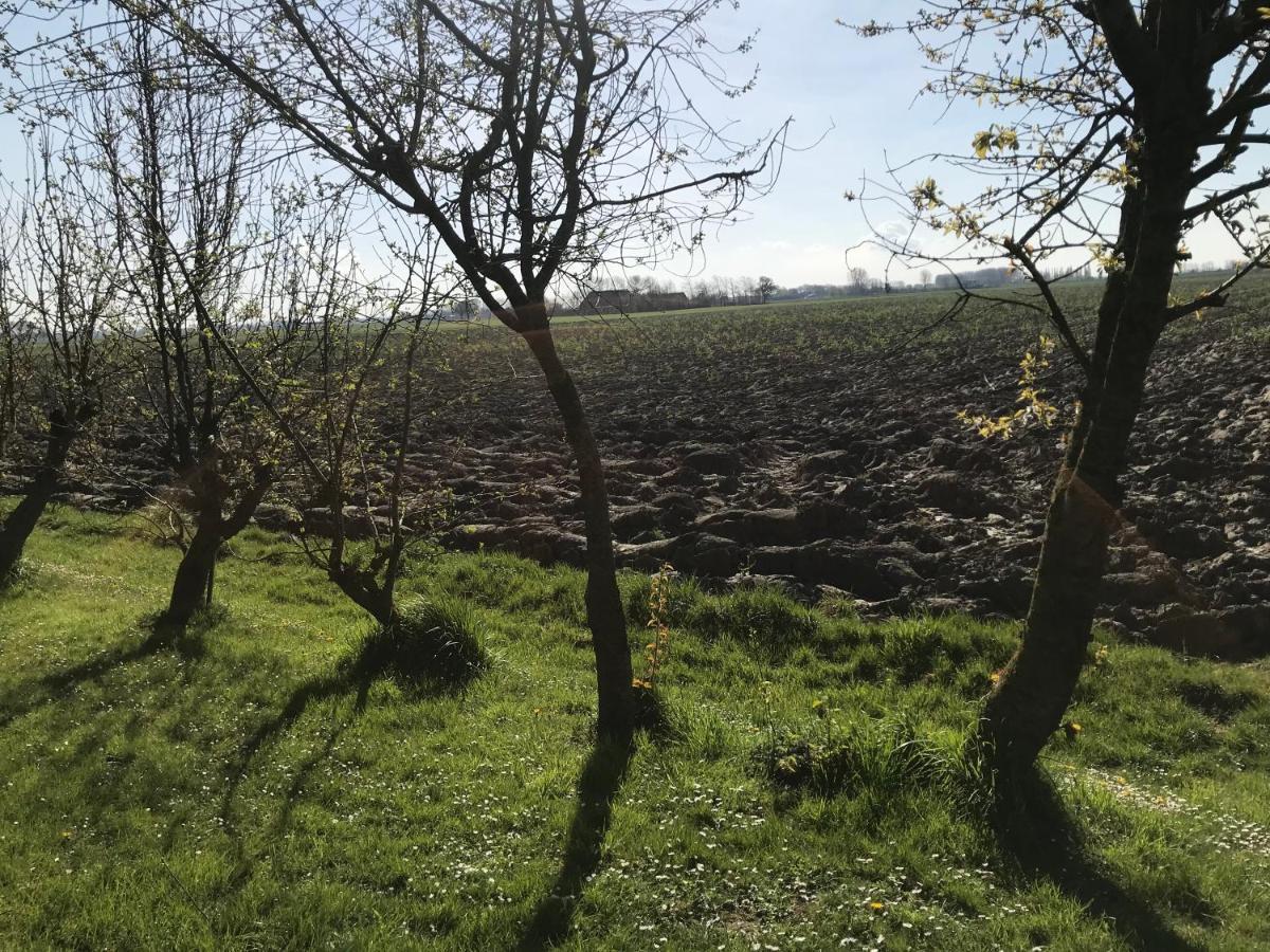 Dijkhuisje Zeeland Waterlandkerkje Zewnętrze zdjęcie