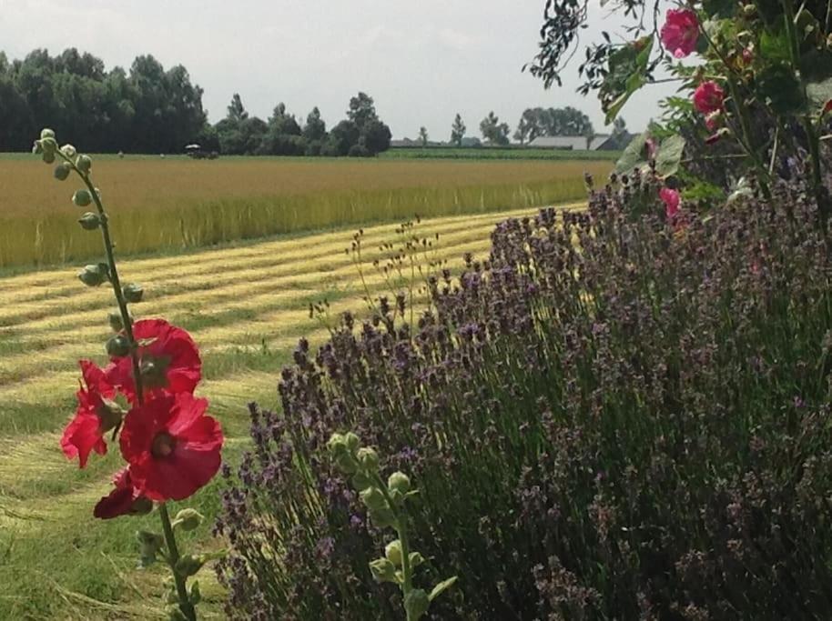 Dijkhuisje Zeeland Waterlandkerkje Zewnętrze zdjęcie