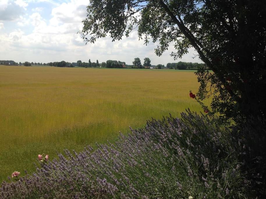 Dijkhuisje Zeeland Waterlandkerkje Zewnętrze zdjęcie