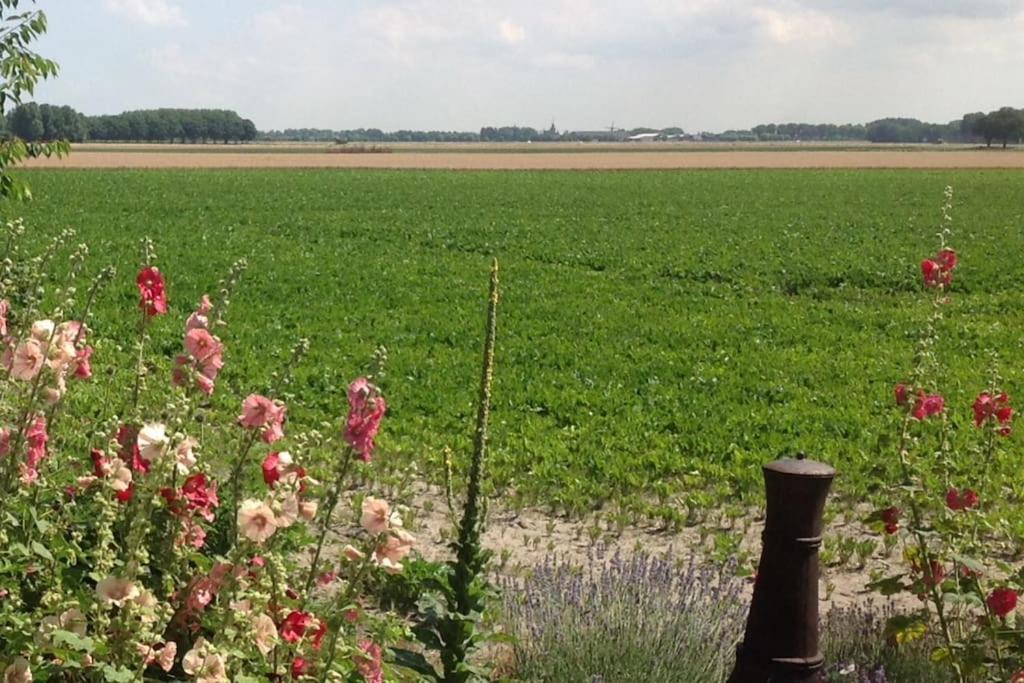 Dijkhuisje Zeeland Waterlandkerkje Zewnętrze zdjęcie