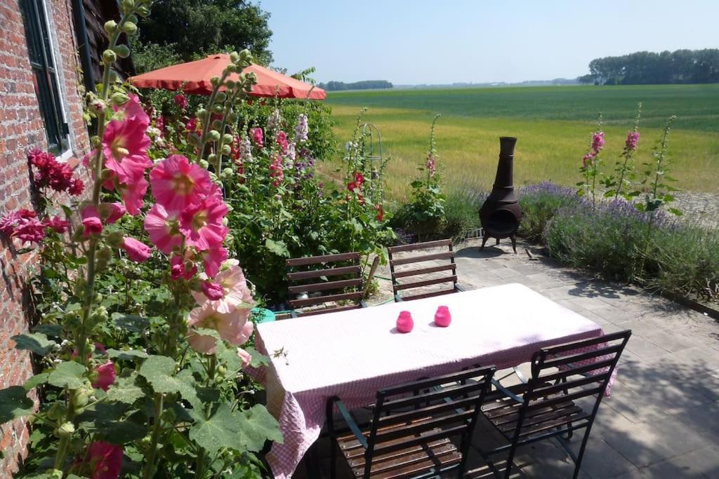 Dijkhuisje Zeeland Waterlandkerkje Zewnętrze zdjęcie