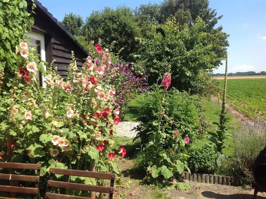 Dijkhuisje Zeeland Waterlandkerkje Zewnętrze zdjęcie